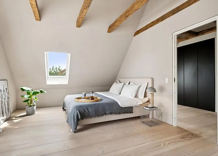 别墅 In The Heart Of Århus